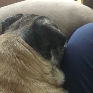 Meet your Posher, Jeff